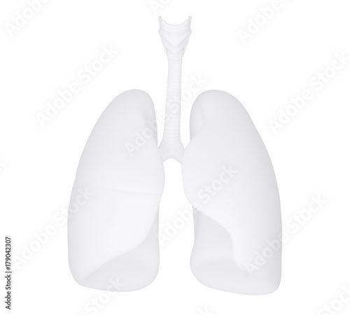 3d human lung