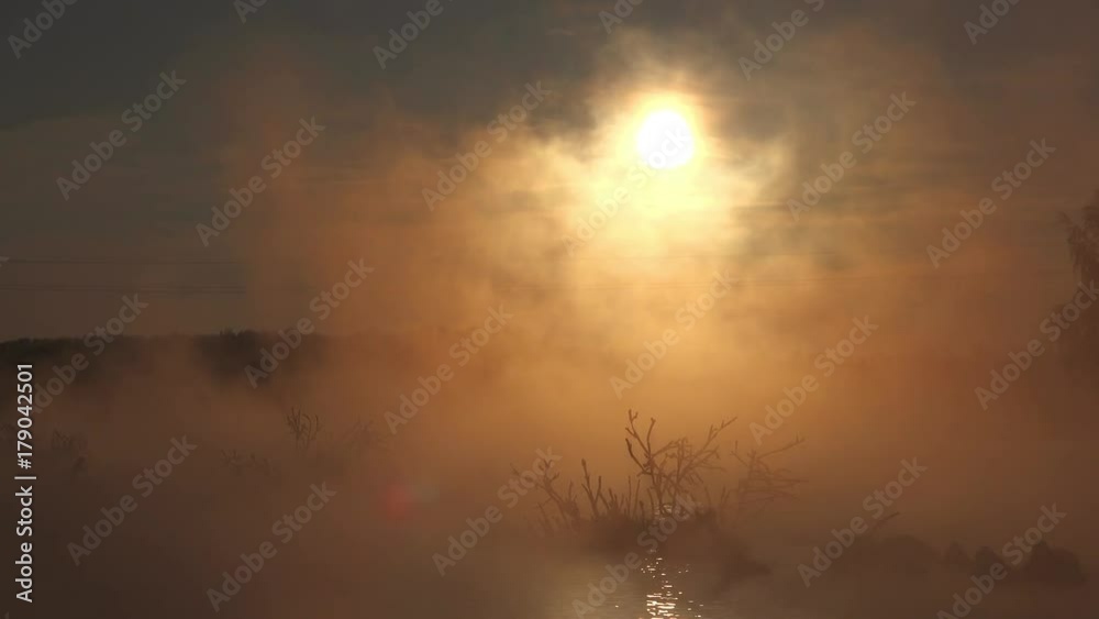 Snags in the river water in early winter morning