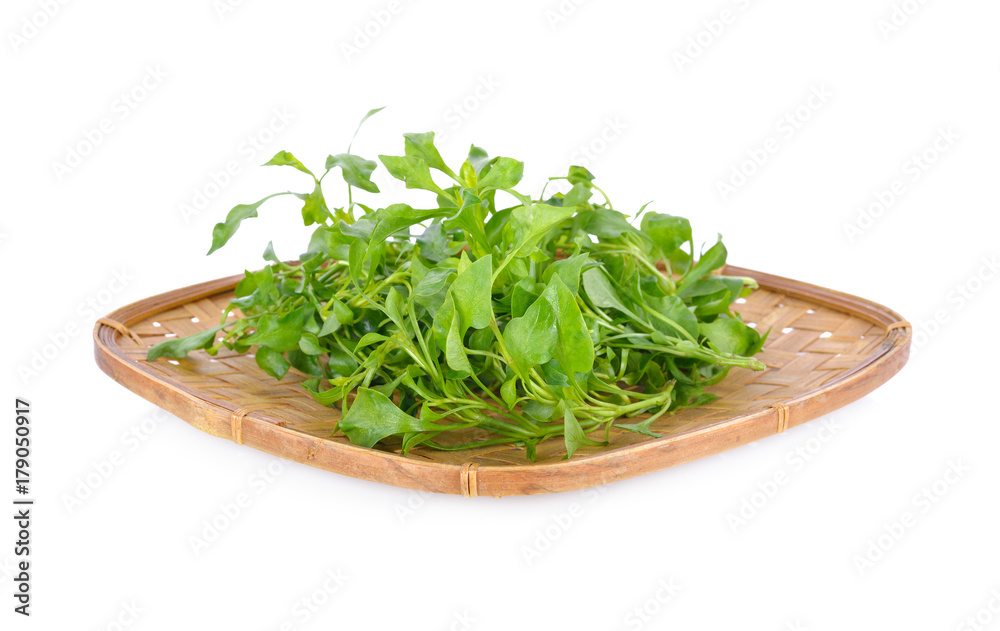 fresh watercress in bamboo basket and on white background fresh watercress in bamboo basket and on white background