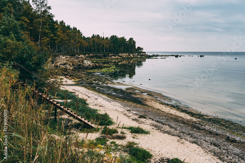 Baltic sea coastline with cliff and stones photo