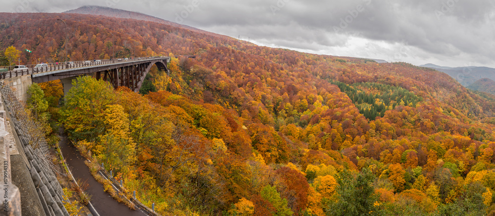 Panoramic view of Jogakura bridge, mountain and valley with beautiful autumn colour season, Aomori, Japan.