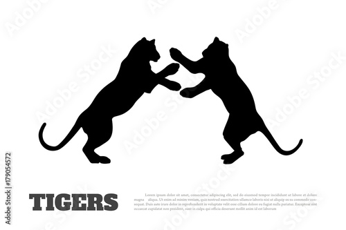Fototapeta Naklejka Na Ścianę i Meble -  Black silhouette of fighting tigers on white background. Isolated image. Icon of wildcat