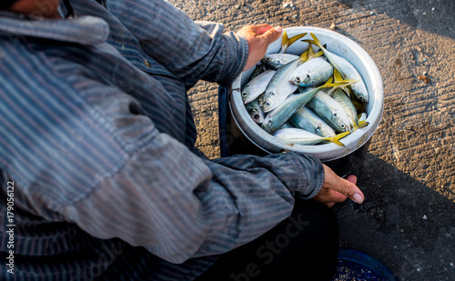 Fisheraman and fish in bucket