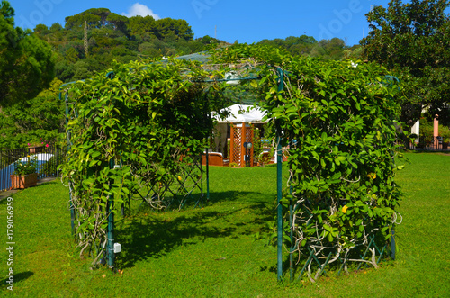 La Pineta di Guardia