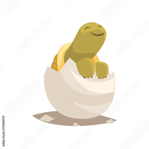 Adorable green turtle baby hatched from egg