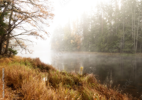 Misty autumn morning by the riverside. Farnebofjarden national park in Sweden.