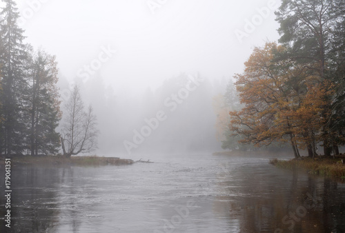 Misty autumn morning by the riverside. Farnebofjarden national park in Sweden.