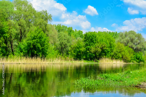 Spring sunny day on the river bank.