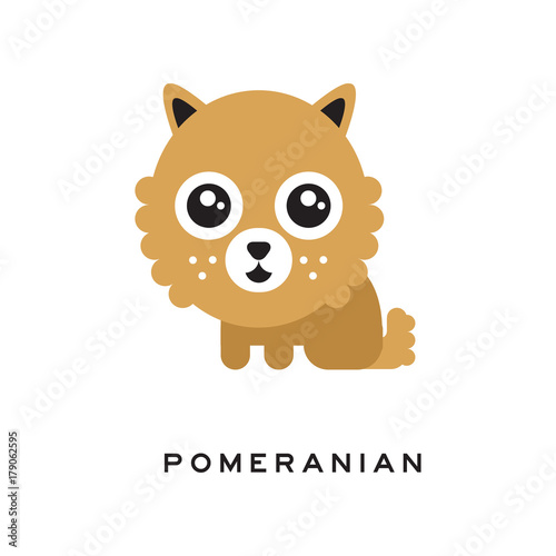 Adorable pomeranian spitz puppy with big fluffy head