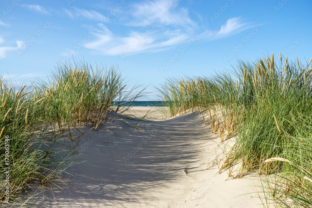 Beach with sand dunes and marram grass. Beach with sand dunes and marram grass.
