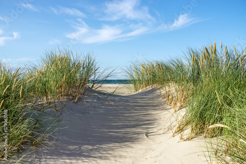 Beach with sand dunes and marram grass.