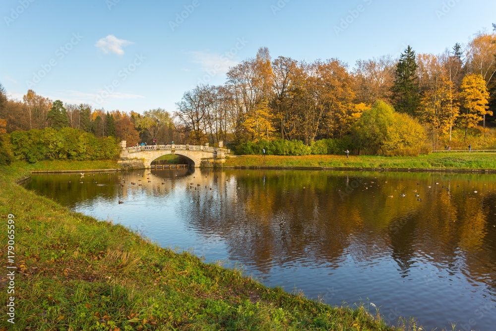 Fototapeta premium Bright autumn water landscape 