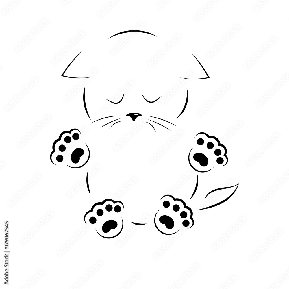 vector black and white outline drawing sad kitty with paws