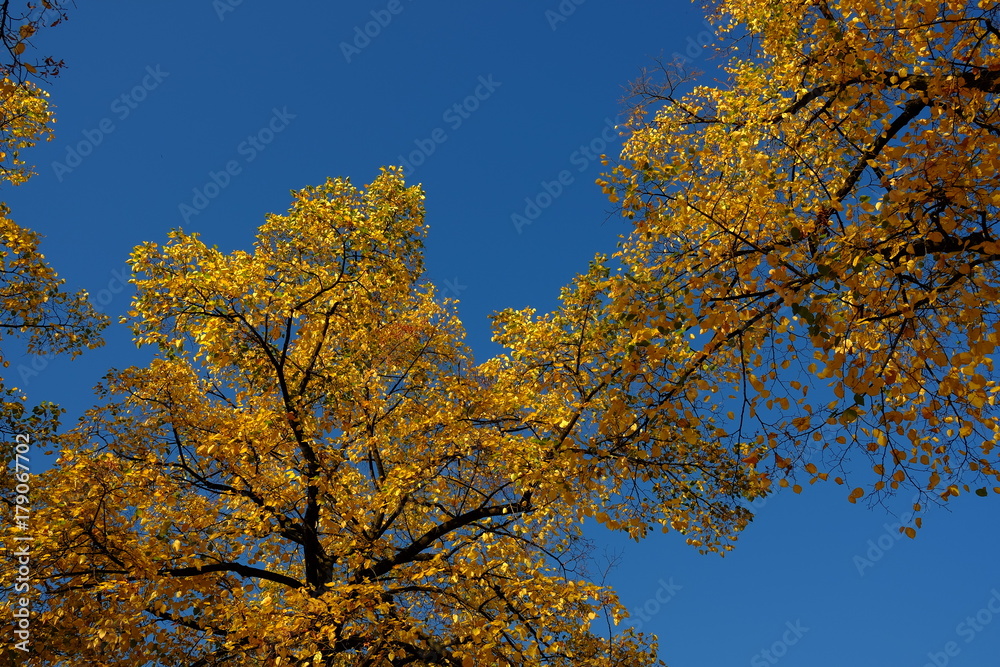 Automne à Paris , France Automne à Paris , France