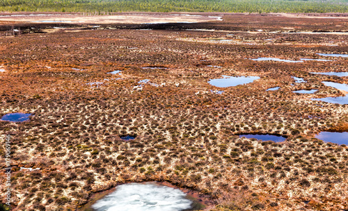 Northern landscape. Endless forests. Impenetrable swamps in the north photo