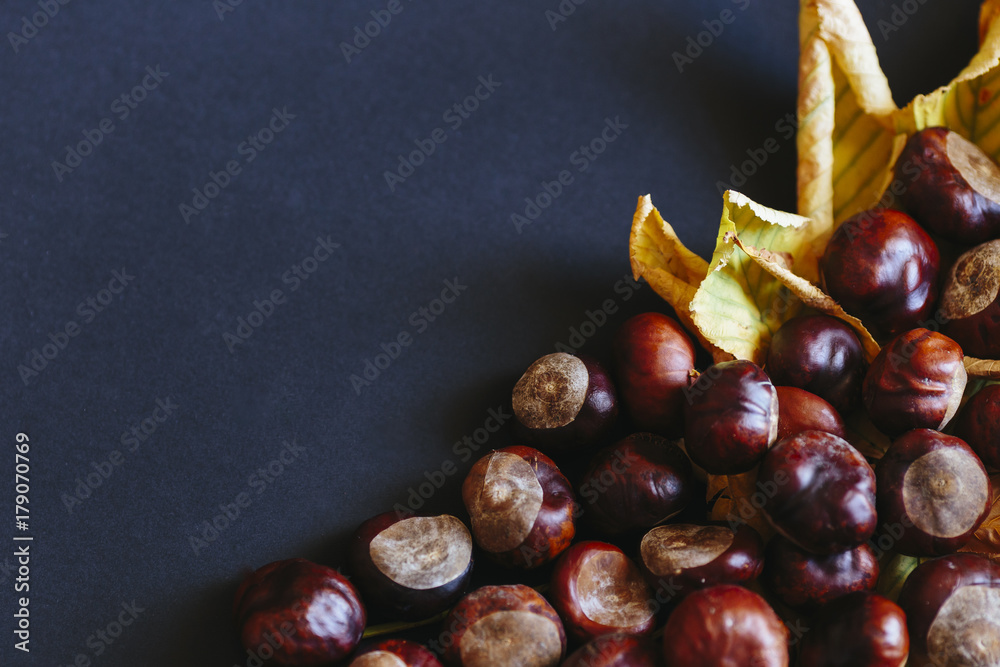 Obraz premium Chestnuts on a yellow leaves