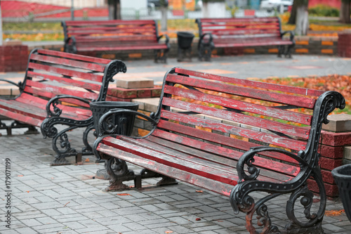 wooden benches on a cast-iron base in the city park. photo