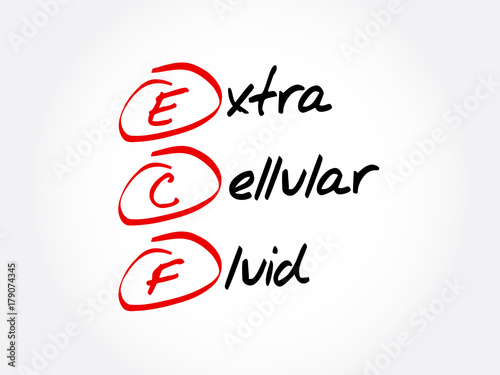 ECF - Extracellular Fluid acronym, concept background