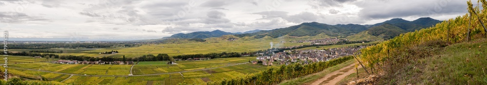 Le vignoble alsacien au pied des collines sous-vosgiennes