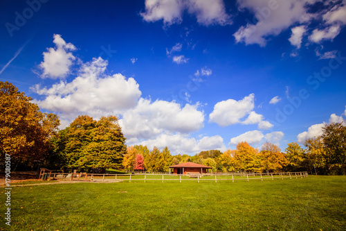 Herbst in Kurpark Oberlaa in Wien photo