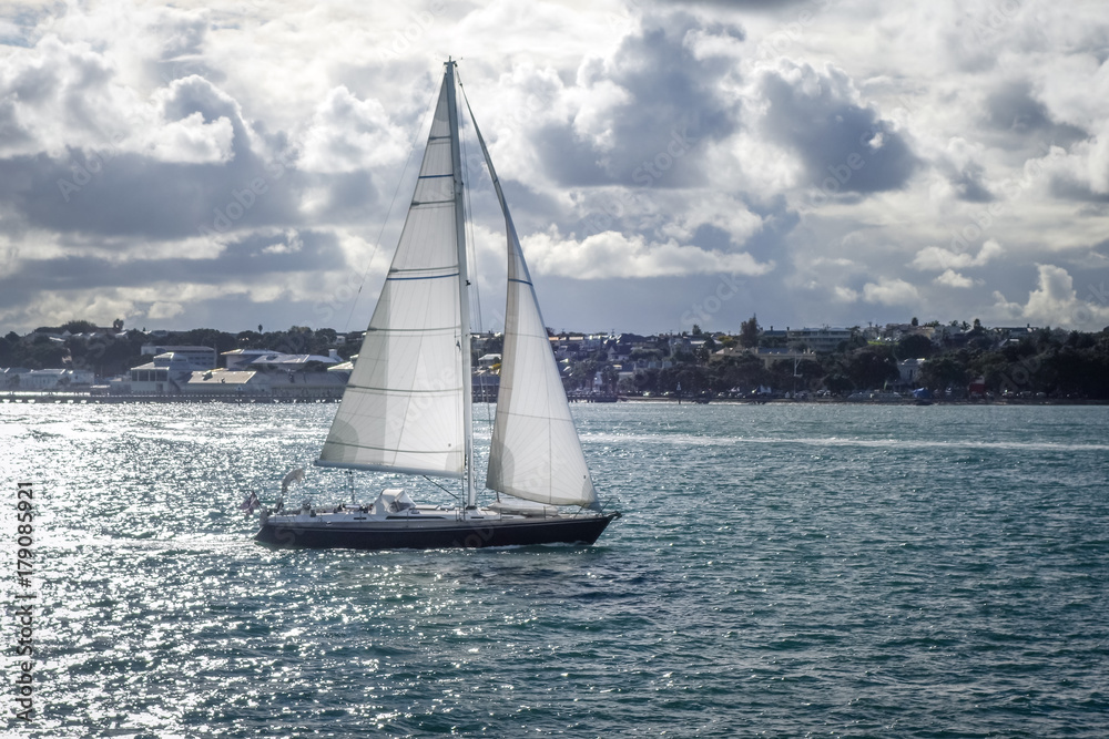 Obraz premium Sailing ship in Auckland, New Zealand