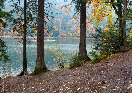 Lake Synevyr autumn view. © wildman