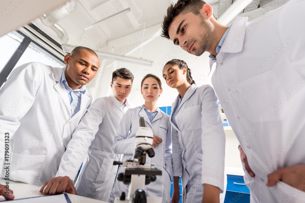 Fototapeta premium medical workers in circle