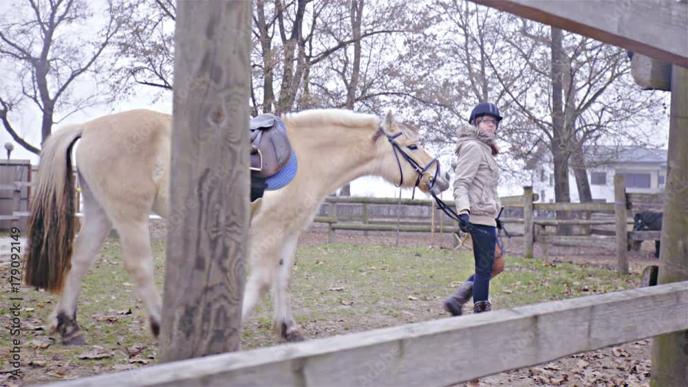 Female rider take horse for a walk around ranch 4K Female rider take horse for a walk around ranch 4K
