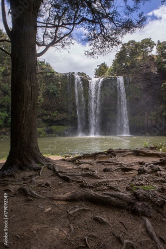 Otuihau Falls Whangarei Nw Zealand photo