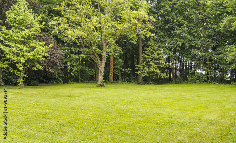Obraz premium idyllic park scenery