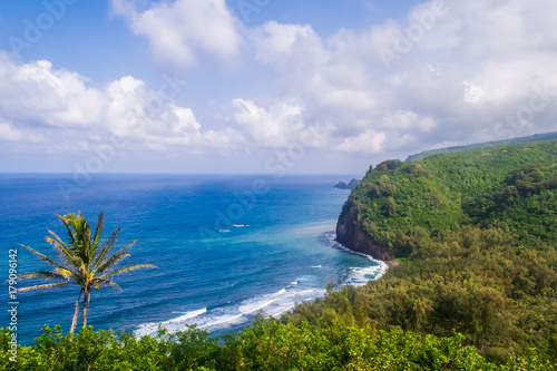 Coast of the island, the ocean in Hawaii
