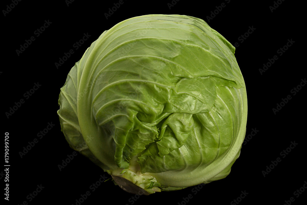 Salad young cabbage closeup Salad young cabbage closeup
