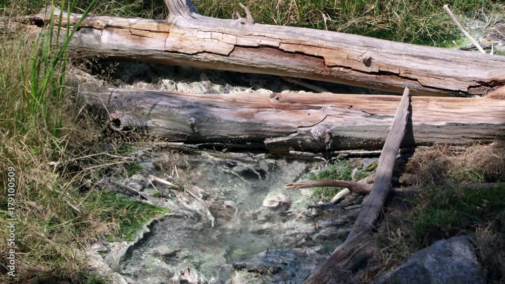 View of hot springs water flowing under log with grassy banks. View of hot springs water flowing under log with grassy banks.
