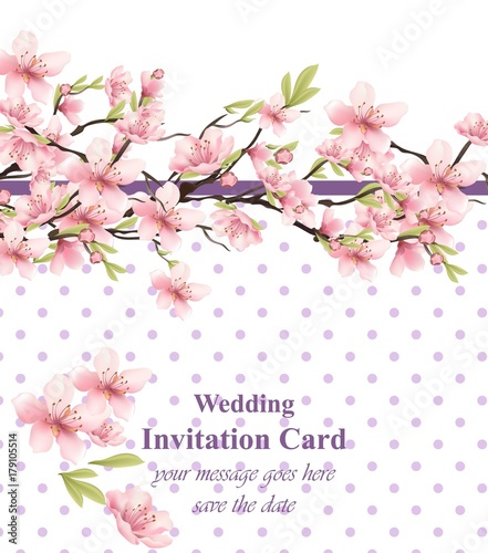 Cherry blossom. Sakura flowers background Vector