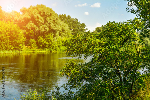 Summer beautiful landscape - the sun, the trees, the river, the blue sky. River Seversky Donets, Ukraine - kind of summer in the sun.