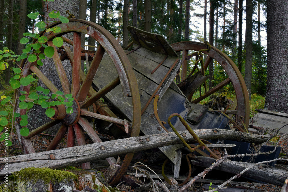 Old broken and rotting wooden horse cart abandoned to forest. Old broken and rotting wooden horse cart abandoned to forest.