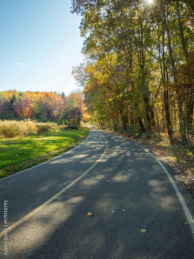 Obraz premium Road in the fall
