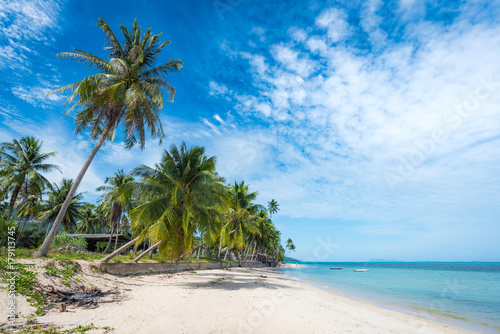 Tropical beach