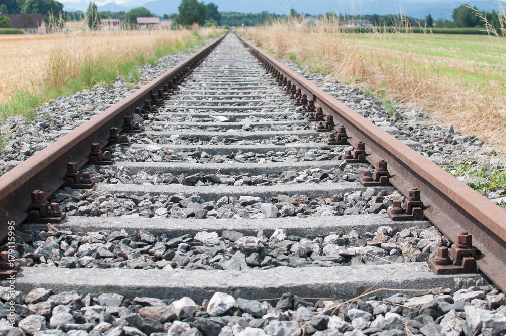 Fototapeta premium rail tracks perspective