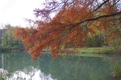 Herbstlandschaft photo