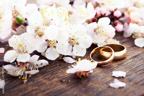 Wedding rings. Spring. Flowering branch on wooden surface.