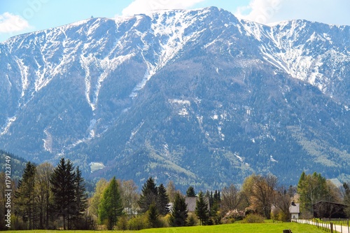 Fototapeta Naklejka Na Ścianę i Meble -  The Alps with a Pasture