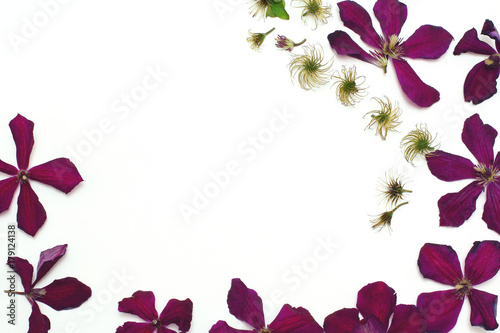 Frame of flowers. Purple clematis flowers. Flat lay  top view