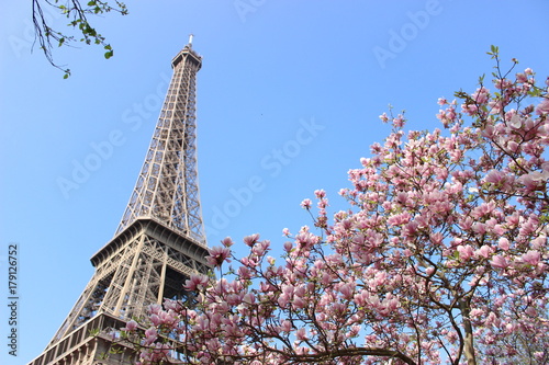 Eiffel　Tower with 　Magnolias © Maho