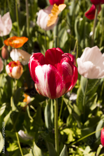 Botanical Gardens