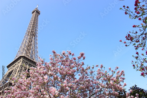 Eiffel　Tower with 　Magnolias