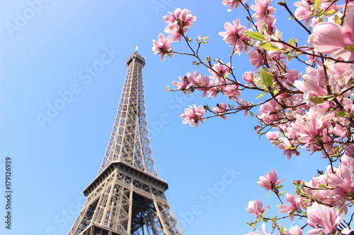 Eiffel　Tower with 　Magnolias © Maho