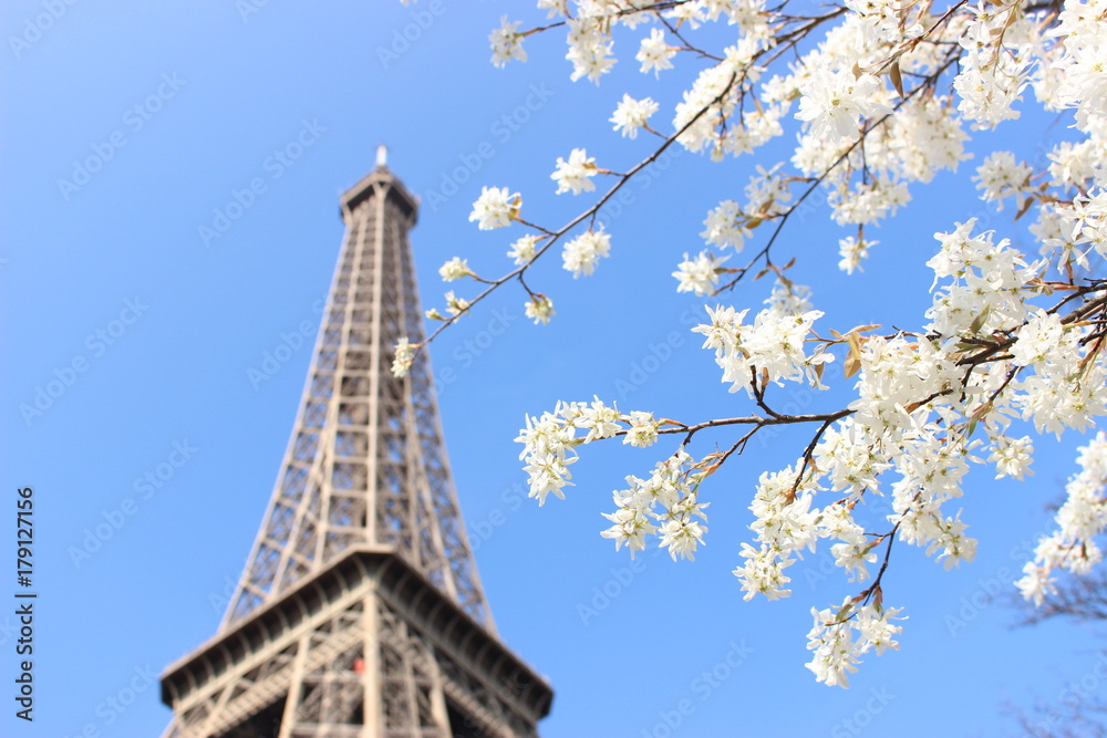 Eiffel tower in spring