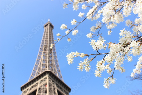 Eiffel tower in spring © Maho