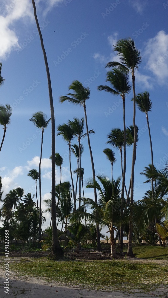 Fototapeta premium Beautiful and unique landscape of Dominican Republic
